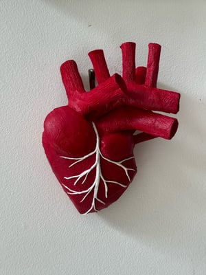 Image of Anatomical Heart 