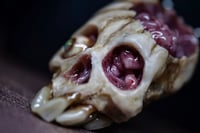 Image 9 of Brain nugget Skull pendant, stainless steel chain , fire opal eye, OOAK one of a kind original