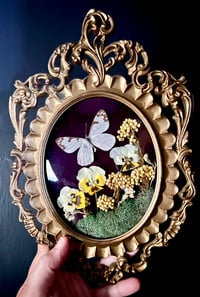 Image 3 of Vintage Pine White Butterfly Botanical Frame
