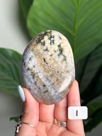 Image 9 of XL CHOOSE YOUR OWN ORBICULAR VEINLESS OCEAN JASPER PALM STONES -MADAGASCAR- 