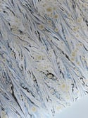 Indigo Breeze - Printed Paper