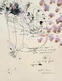 Meaning To The Blossoms