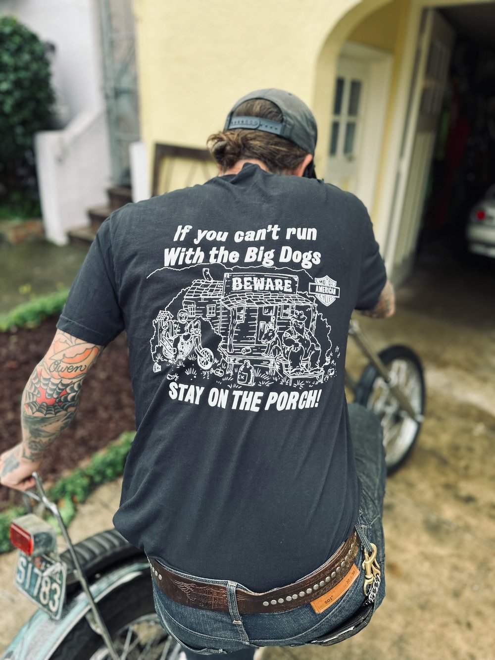 Image of Big dogs