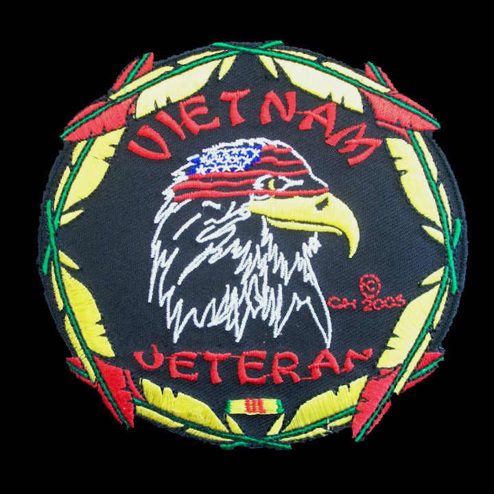 Image of VIETNAM VETERAN FEATHERS - P14