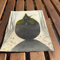 Image 7 of “Be still”