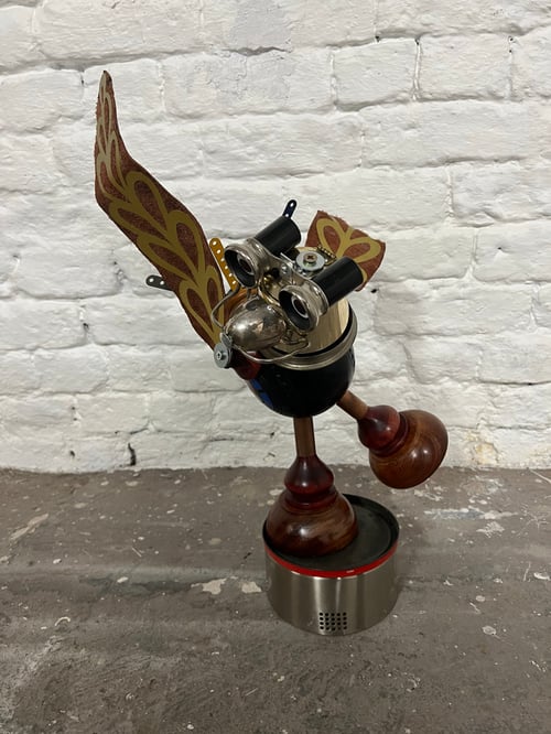 Image of Wonky the bird