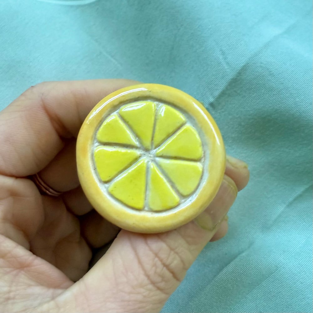image of citrus magnets