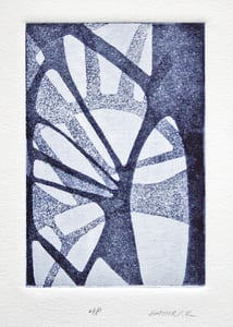 Image of Palm