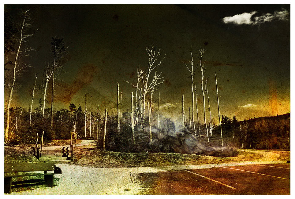 Image of HILL RITUAL