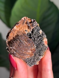 Image 3 of SUGAR DRUZY CHALCEDONY X MANGANESE -MOROCCO- S