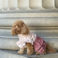 Image 1 of HOUNDSTOOTH LEATHER DRESS 