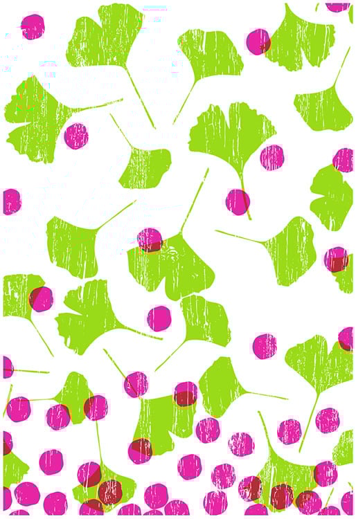 Image of Spring 2009 Ginko Leaves Art Print