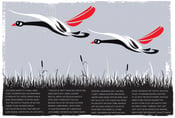 Image of Goose Blind Art Print