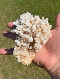Image 4 of Calcite Crystal Reef Formation Specimen #1241