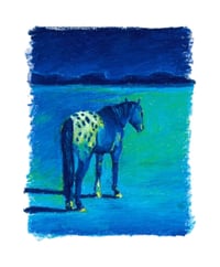 Image 2 of Appaloosa