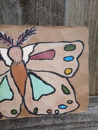 Image 8 of Moth 