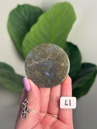 Image 12 of CHOOSE YOUR OWN MOSS AGATE DISK -INDIA- LOT 1