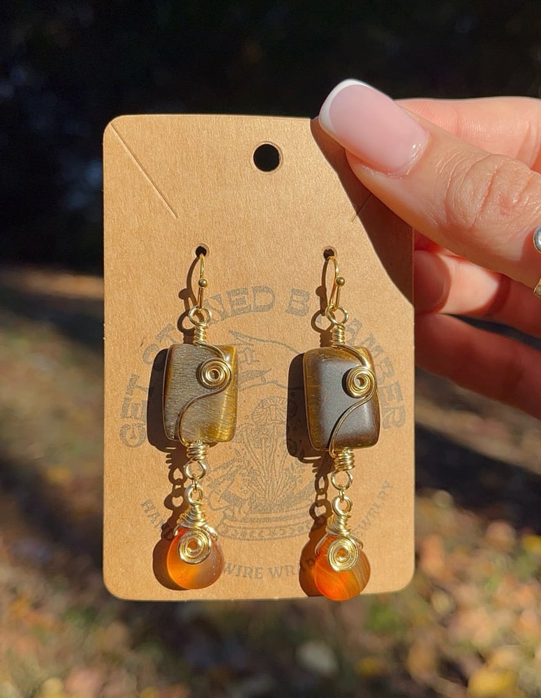 Image of Tigers Eye x Carnelian Earrings 
