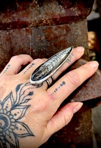 Image 12 of Rising ring II