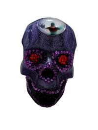 Image 1 of Large Size Skulls