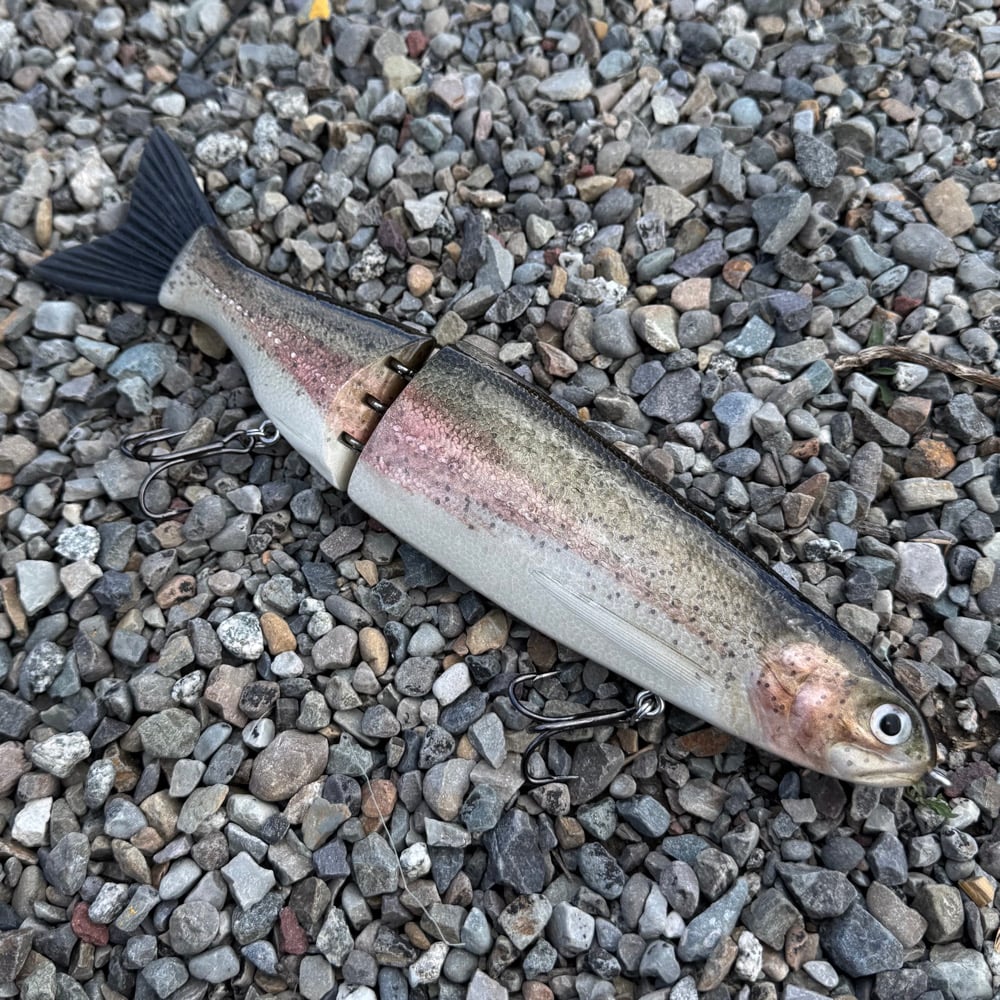 Image of 13 inch slowsink trout