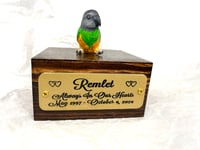 Image 2 of Handmade Custom Engraved Senegal Parrot To Your Photos Bird Urn Figurine Pet Portrait Memorial