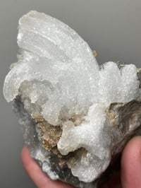 Image 9 of Ram’s Horn Selenite, Gypsum Specimen | Guizhou China #3048