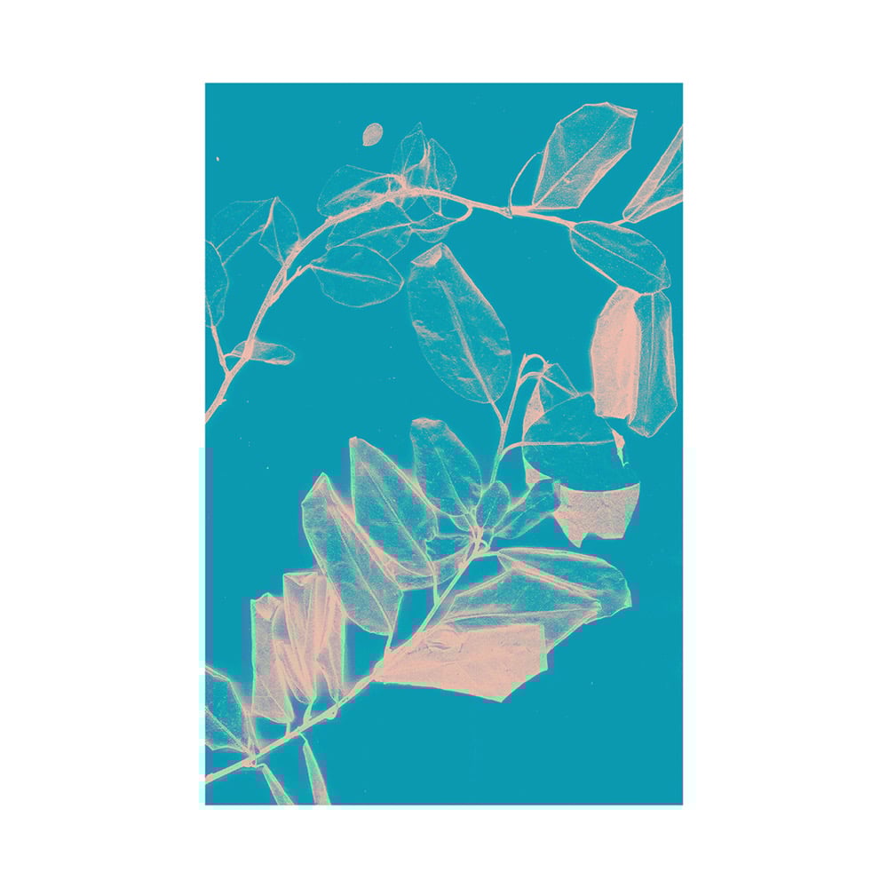 Image of Freyr VI Dawn A3 poster print