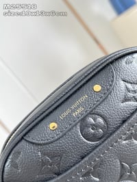 Image 5 of LV Empriente Camera Bag