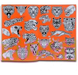 Image of DENO 700 JAGUARS