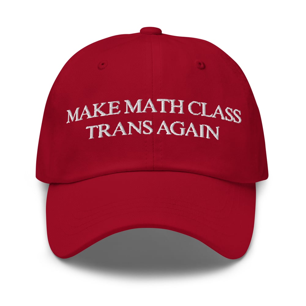 Image of Make Math Class Trans Again Hat