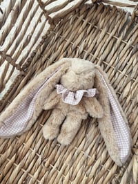 Image 1 of DOUDOU VICHY MINI