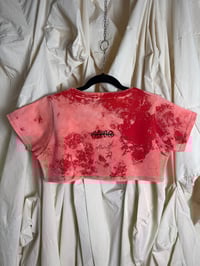 Image 2 of Crop Top Bleached