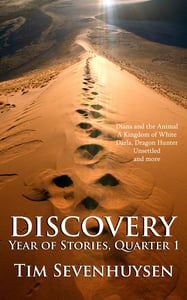 Image of DISCOVERY - Year of Stories, Quarter 1