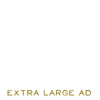 Image of Extra Large Ad space (350x160) 2 months