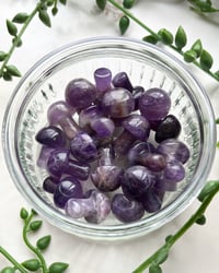 Image 4 of Amethyst Mushroom Crystals 