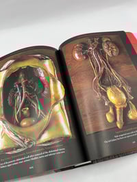 Image 3 of Anatomical Waxes. 45th Ed.