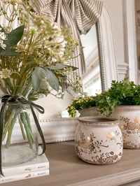 Image 4 of The Elodie Collection - Pots ( 2 sizes )