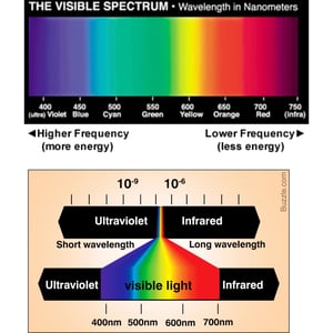 Image of Transmutation Violet Ritual Oil