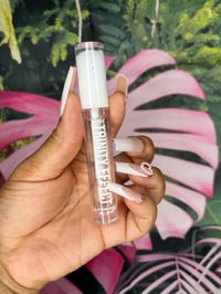 Palm Angel Lipgloss