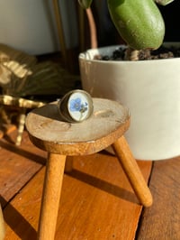 Image 1 of Forget me not rings