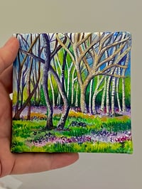 Image 2 of The Mini Bluebell Woods