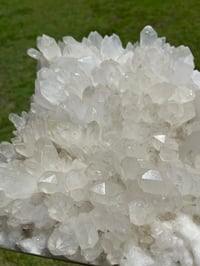 Image 18 of Quartz Points Cluster Statement Display Piece | Brazil #2911