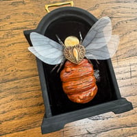 Image 3 of Pumpkin bee (a, 3 x 4 inches) 