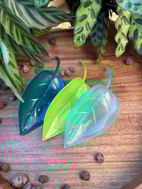 Image 1 of Plant Watering Spikes