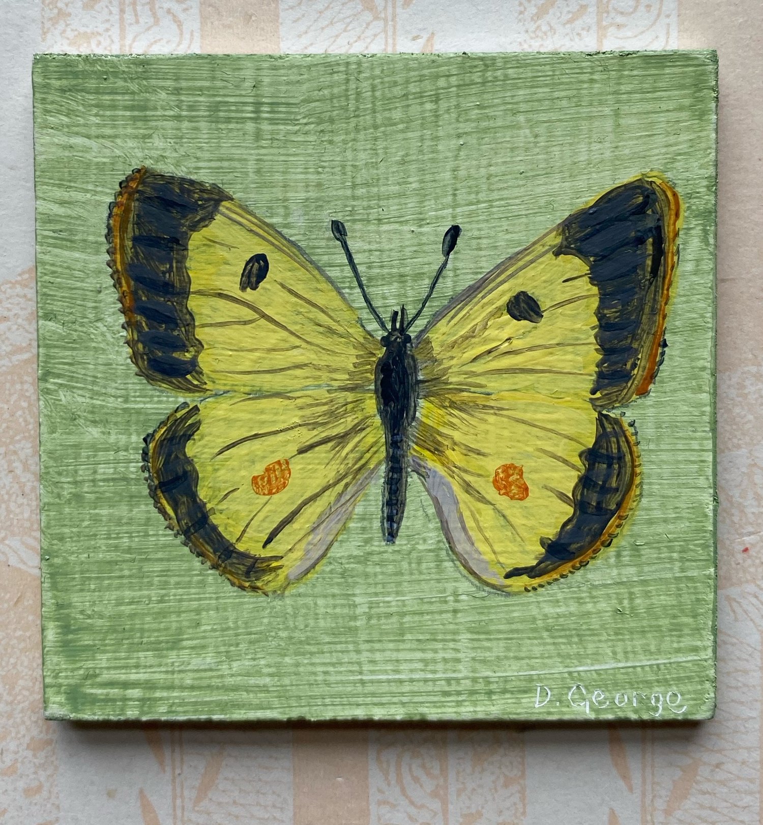 Image of Miniature yellow butterfly 