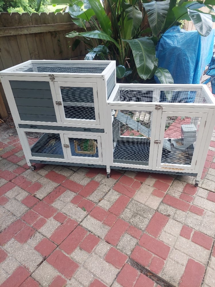 Image of HUTCH 3