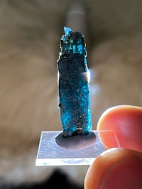 Image 7 of Ocean Kyanite Harts Range Australia #2556