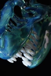 Image 2 of Mini Meta-Terrania T-Rex skull pendant. 🩵