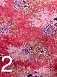 Image 3 of LESLEY NEMIN